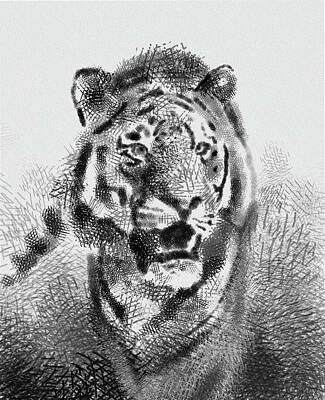 Animals Digital Art - Tiger Drawing Vintage by Bekim M