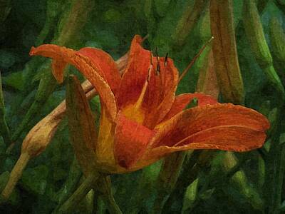 Lilies Mixed Media - Tiger Lily by Julie Grace