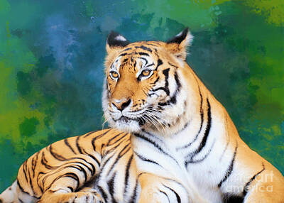 Animals Mixed Media - Tiger Painting by Amanda Jane