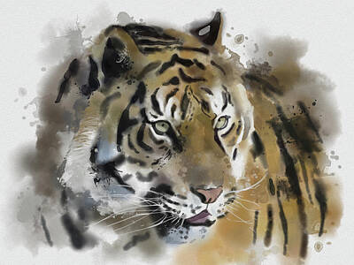 Animals Digital Art - Tiger Painting by Bekim M