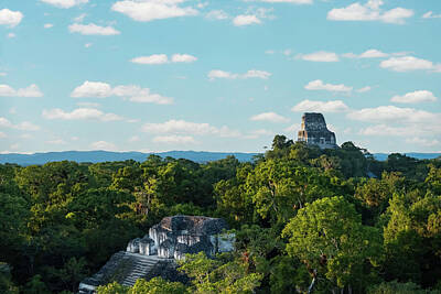 Photo Rights Managed Images - Tikal National Park Royalty-Free Image by Mango Art