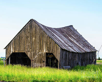 Art History Meets Fashion Rights Managed Images - Tired Barn #2 Royalty-Free Image by William Meeuwsen