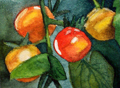Food And Beverage Paintings - Tomato Branch by Anastasia Batkova by Anastasia Batkova