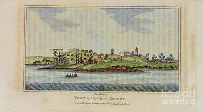 Bear Paintings - Town and Cove of Sydney c2 by Historic Illustrations