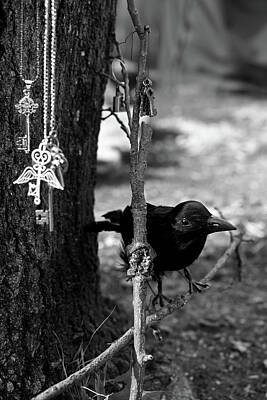 Photo Royalty Free Images - Toy Crow Key Collector - Black and White Royalty-Free Image by Katherine Nutt