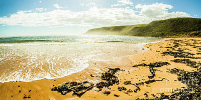 Sir Lawrence Almatadema - Tranquil Tasmanian beach paradise by Jorgo Photography