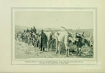 Monochrome Landscapes - Transporting Artillery by Ox Teams in the Carpathians l5 by Historic Illustrations