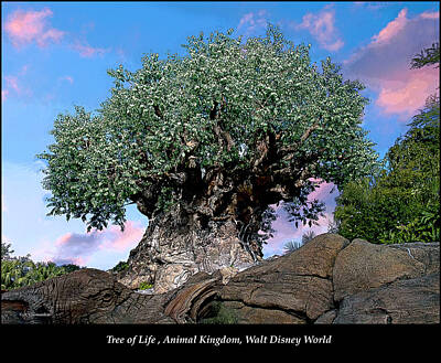 Negative Space Rights Managed Images - Tree of Life Sculpture, Animal Kingdom, Walt Disney World Royalty-Free Image by A Macarthur Gurmankin