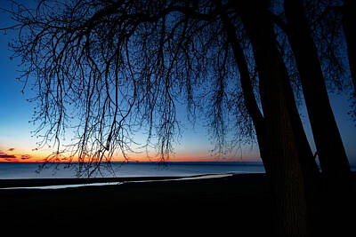 Beach Photos - Tree Sillouette by Lake Michgan by Sven Brogren