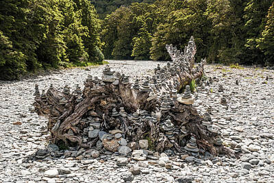Guitar Patents Rights Managed Images - Tree stump covered in rocks in New Zealand Royalty-Free Image by Jon Ingall