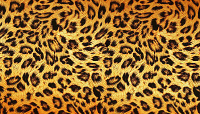 Animals Drawings - Trendy leopard skin design pattern.  by Julien