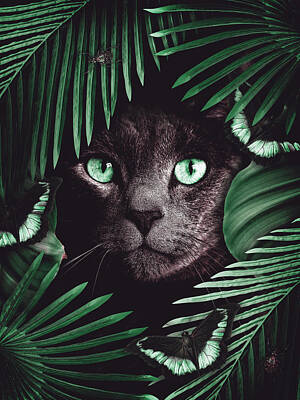 Urban Abstracts - Tropical black cat by Mihaela Pater