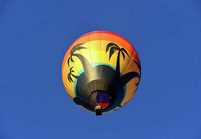 Parks Royalty Free Images - Tropical colors in flight Royalty-Free Image by David Lee Thompson