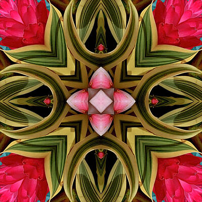 Tom Petty - Tropical Pink Ginger Mandala 3 by Sherrie Triest