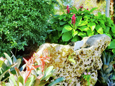 Landscapes Mixed Media Royalty Free Images - Tropical Rock Garden Royalty-Free Image by Sharon Williams Eng