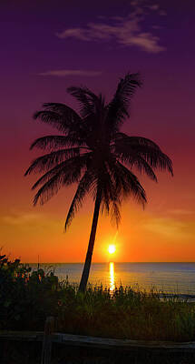 Mark Andrew Thomas Rights Managed Images - Tropical Sunrise Royalty-Free Image by Mark Andrew Thomas