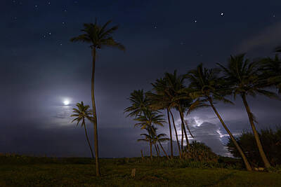 Rights Managed Images - Tropical Tempest 3 Royalty-Free Image by Mark Andrew Thomas