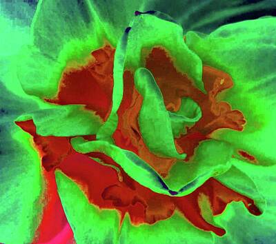 Rolling Stone Magazine Covers - Tulip - Psychedelic Saturation 04 - PhotoPower by Pamela Critchlow