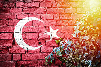 The Playroom Royalty Free Images - Turkey grunge flag on brick wall with ivy plant sun haze view Royalty-Free Image by Brch Photography