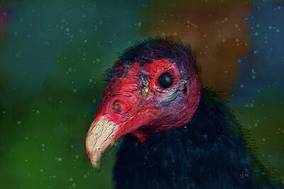 Portraits Mixed Media - Turkey Vulture Portrait-Ugly is in the Eye of the Beholder by Shelli Fitzpatrick