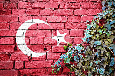 Stocktrek Images - Turkish grunge flag on brick wall with ivy plant by Brch Photography