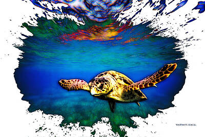 Reptiles Digital Art - Turtle in Diminishing waterrs by D Watson-Hall and ArtcrewNZ
