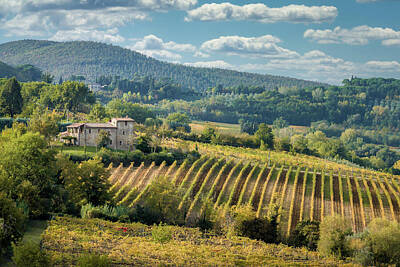 Landscapes Photos - Tuscan Valley by Dave Bowman