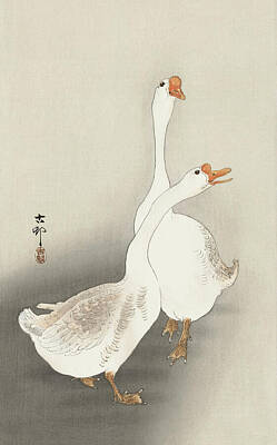 Colorful Pop Culture Rights Managed Images - Two geese by Ohara Koson Royalty-Free Image by Mango Art