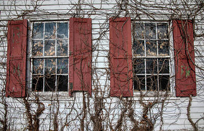 Patriotic Signs - Two Haunted Windows by David Letts