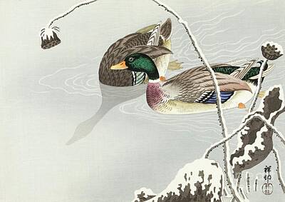 Womens Empowerment - Two Mallards near a Snow-Covered Lotus 1925 - 1936 by Ohara Koson 1877-1945 by Shop Ability