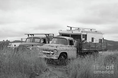 Neutrality - Two old farm trucks in black and whtie by Jeff Swan
