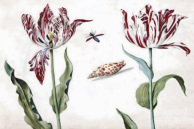 Watercolor Dogs - Two tulips with shell and flying beetle by From Natures Arms