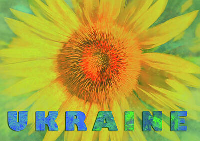 Sunflowers Mixed Media - Ukraine Sunflower Tribute by Dan Sproul