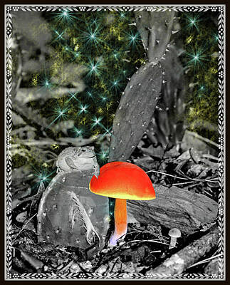 Fantasy Digital Art Rights Managed Images - Under The Stars Royalty-Free Image by Constance Lowery