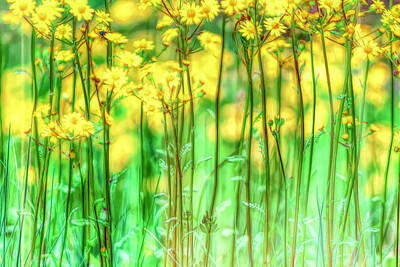 Impressionism Photo Rights Managed Images - Unseen Forest 1 Royalty-Free Image by Jim Love