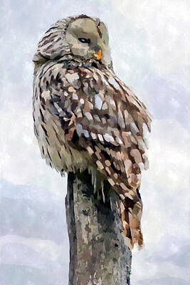 Lighthouse - Ural Owl by Chris B