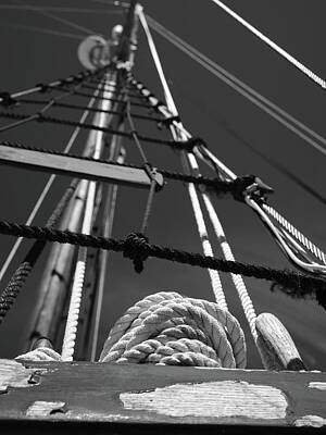 Target Threshold Nature Rights Managed Images - Vertical Sailboat Mast in Black and White Royalty-Free Image by Jorge Moro