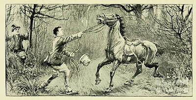 Animals Drawings - Vicious Horse Refuses A Rider K by Historic illustrations