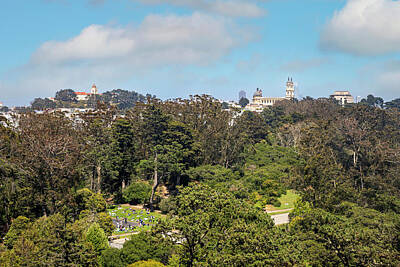 Mellow Yellow - View of Lone Mountain from Golden Gate Park by Bonnie Follett