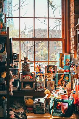 Train Paintings - View out the window from a tiny toy store. - assorted plush toys on brown wooden shelf - Minnesota, USA by Julien
