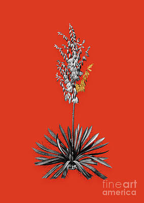 Food And Beverage Mixed Media - Vintage Adams Needle Black and White Gilded Floral Art on Tomato Red n.0358 by Holy Rock Design