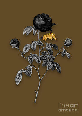 Roses Mixed Media - Vintage Agatha Rose in Bloom Black and White Gilded Floral Art on Coffee Brown by Holy Rock Design
