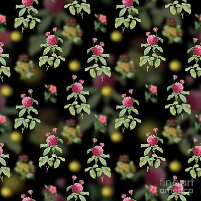 Florals Mixed Media - Vintage Agatha Rose in Bloom Floral Garden Pattern on Black n.0187 by Holy Rock Design