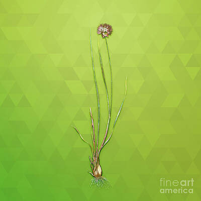 Animals Mixed Media - Vintage Allium Foliosum Botanical Art on Love Bird Green n.0614 by Holy Rock Design
