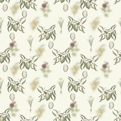 Food And Beverage Mixed Media - Vintage Almond Boho Botanical Pattern on Soft Warm White n.0084 by Holy Rock Design
