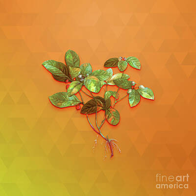 Abstract Airplane Art - Vintage American Wintergreen Plant Botanical Art on Tangelo n.0944 by Holy Rock Design