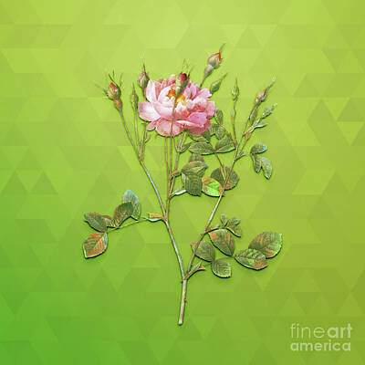 Animals Mixed Media - Vintage Anemone Flower Sweetbriar Rose Botanical Art on Love Bird Green n.0354 by Holy Rock Design