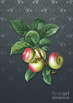 Surrealism Rights Managed Images - Vintage Apple Botanical Art on Slate Gray Pattern n.4697 Royalty-Free Image by Holy Rock Design