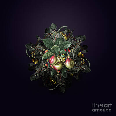 Floral Rights Managed Images - Vintage Apple Fruit Wreath on Royal Purple n.1036 Royalty-Free Image by Holy Rock Design