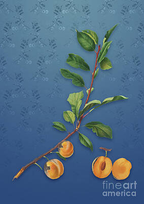 Target Threshold Watercolor - Vintage Apricot Botanical Art on Bahama Blue Pattern n.1566 by Holy Rock Design